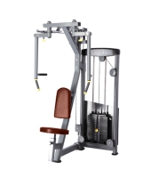 BRONZE GYM D-002A Грудь/Задняя дельта