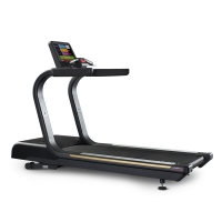 Беговая дорожка Panatta Runner Fenix с Touch-дисплеем