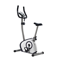 Велотренажер Royal Fitness RFIB-13